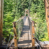 M7167098