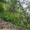 M7156895