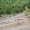 M7156919