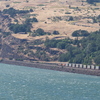 M7157016