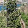 M7157019