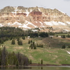 P6054779
