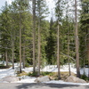 P6054783