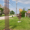 P6054918