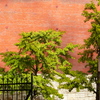 P1100817