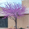 P1140589