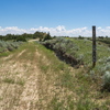 P6075099