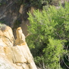 P6075126