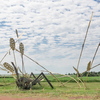 P6085204