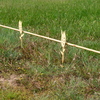P6085206