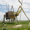 P6085208