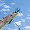 P6085219