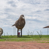 P6085236