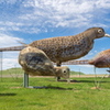 P6085239