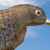 P6085242