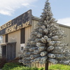 P6085261