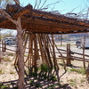 P1150506