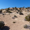 P1150377