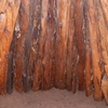 P1150065