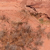 P1150078