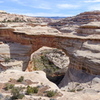 P1150779