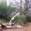 P1150944