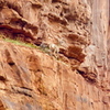 P1160762