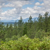 M7095920