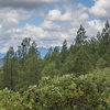 M7095921
