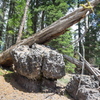 M7095926