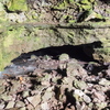 M7095937