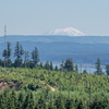 M6264698