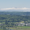 M6264707