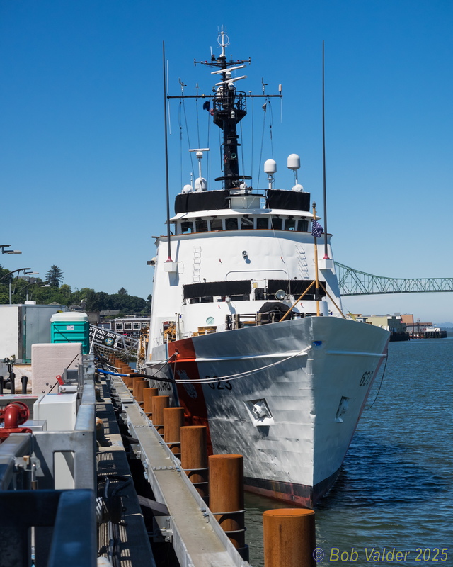 M6264685.jpg