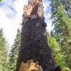 M6254608