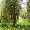 M6254612