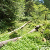 M6254622
