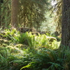 M6254623