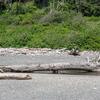 M6254643