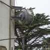 M7025232