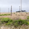 M7025234-Pano