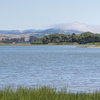 M7025281