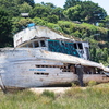 M7025288