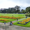 P1030256