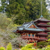 P1030260
