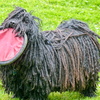 P1030261