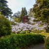 P1030270
