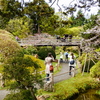 P1030271