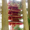 P1030290