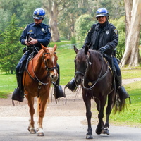 Golden Gate Park